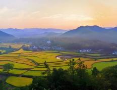 电競(jìng)比赛奖金丰厚，选手(shǒu)们激烈角(jiǎo)逐(zhú)