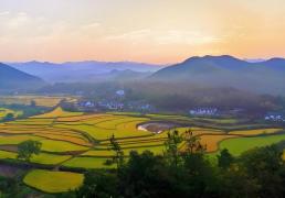 电競(jìng)比赛奖金丰厚，选手(shǒu)们激烈角(jiǎo)逐(zhú)