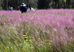 时评：“北京模式”让绿水青山变现生金
