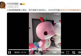 远程控制如何(hé)支援全運(yùn)会 幕后工作都要使(shǐ)不完的劲