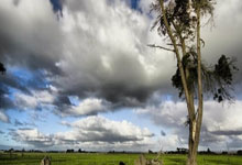 2026设计师 amp; 大众正规渠道线上兼职平台精选